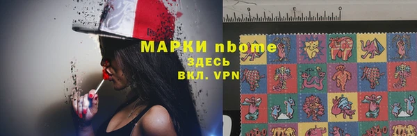 прущие грибы Каменногорск