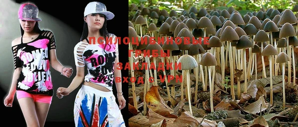 PSILOCYBIN Инсар