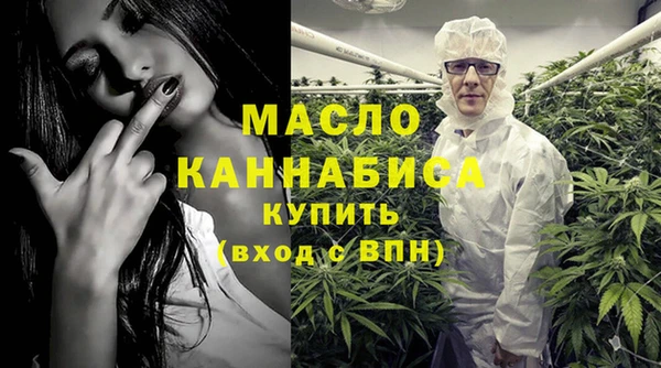 прущие грибы Каменногорск