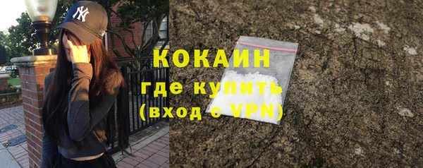 PSILOCYBIN Инсар