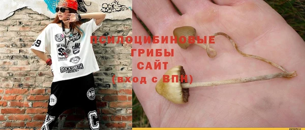 наркотики Каменка