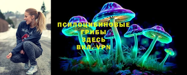 ALPHA PVP Каменск-Шахтинский