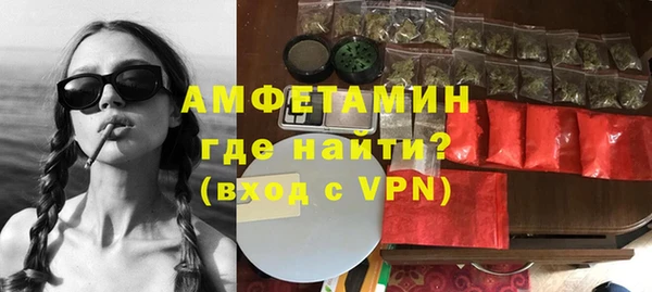 прущие грибы Каменногорск