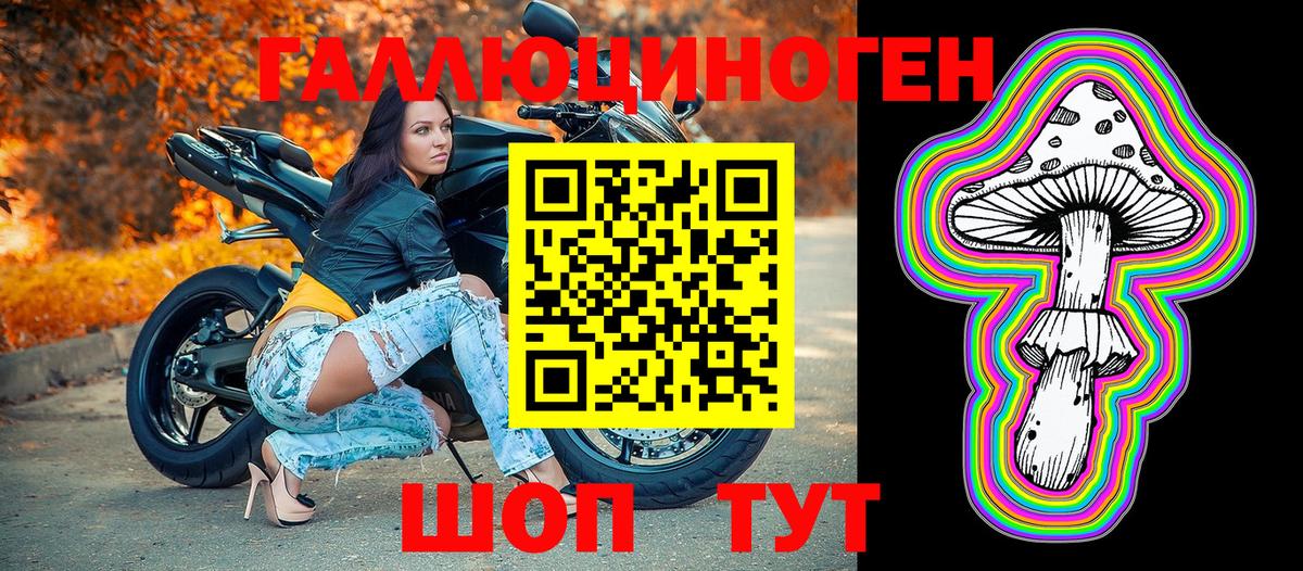 Псилоцибиновые грибы Psilocybe Искитим