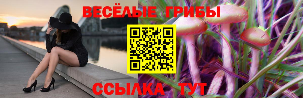 Искитим  Псилоцибиновые грибы ЛСД  Псилоцибиновые грибы прущие грибы  Вход с VPN 